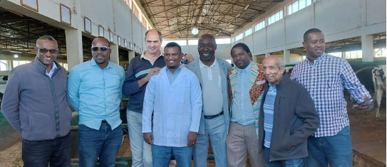 Animals: Improve dairy production IPADA