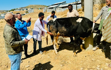 Animals: Improve dairy production IPADA